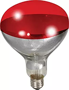 Little Giant 250-watt Red Bulb for Brooder Lamp