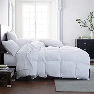 Lavish Comforts Hotel Luxury All Season Down Alternative Comforter Duvet Insert with Tabs Hypoallergenic Double Brushed for Superior Softness Washable (King)