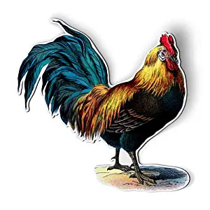 AK Wall Art Rooster Vintage Illustration - Magnet - Flexible Waterproof - Fridge Locker - Select Size