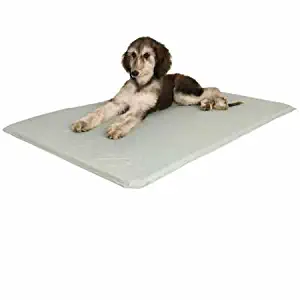 K&H Pet Products Cool Bed III Cooling Dog Bed