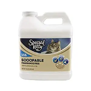 PACK OF 6 - Special Kitty Scoopable Fragrance Free Clumping Cat Litter, 14 Lb