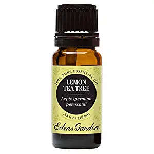 Edens Garden Lemon Tea Tree Essential Oil, 100% Pure Therapeutic Grade (Highest Quality Aromatherapy Oils- Inflammation & Pain), 10 ml