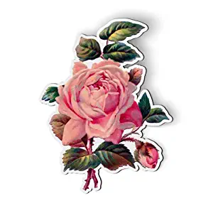 AK Wall Art Vintage Rose Beautiful - Magnet - Car Fridge Locker - Select Size