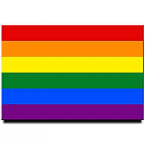 Rainbow flag gay pride flag LGBT pride flag fridge magnet 3"x2"