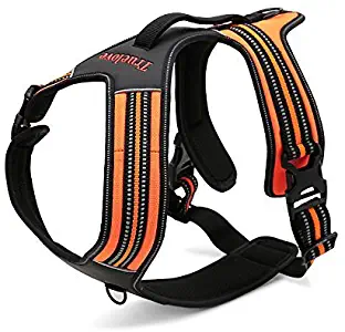 Fashion Shop Front Range No-Pull Dog Harness 3M Reflective Outdoor Adventure Pet Vest with Handle.New 2015 Truelove Model Offered in 3 Stylish Colors-Orange XS