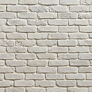 Koni Brick Old Chicago Blanc 10.76 sq. ft. Flats 0.65 in. x 8.20 in. x 2.50 in. Thin Brick