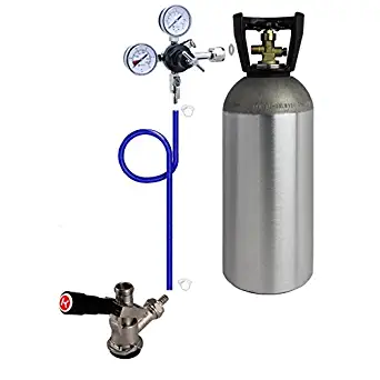 Kegco DDK10 Direct Draw Kit for Commercial Kegerators and Jockey Boxes with 10 lb. CO2 Tank