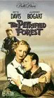 Petrified Forest / Movie [VHS]