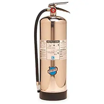 Buckeye 50000 Stainless Steel Water Pressurized Hand Held Fire Extinguisher with Wall Hook, 2.5 Gallon Agent Capacity, 7