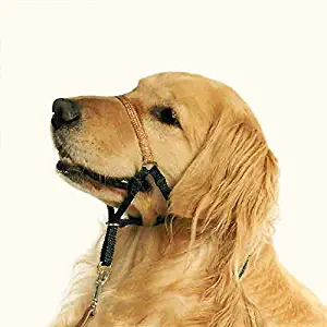 Comfort Trainer Dog Head Halter Size 3 Black Color