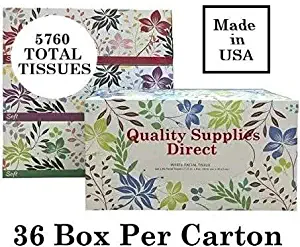 Tissues 2-Ply Facial Tissue 160 Tissues per Box - 36 Box per Case