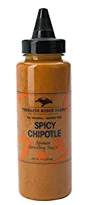Terrapin Ridge Farms Spicy Chipotle Garnishing Squeeze 9 OZ (Pack of 1)