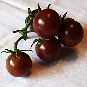 Tomato Cherry Black Seeds Organic Heirloom Tall Original from Ukraine 0.1 Gram